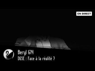 DGSE : Face à la réalité ?  Beryl614 Talk with a spy