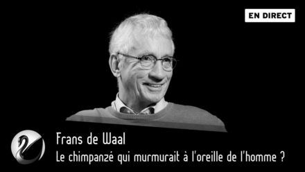Frans de Waal : Le chimpanzé qui murmurait à l’oreille de l’homme ?