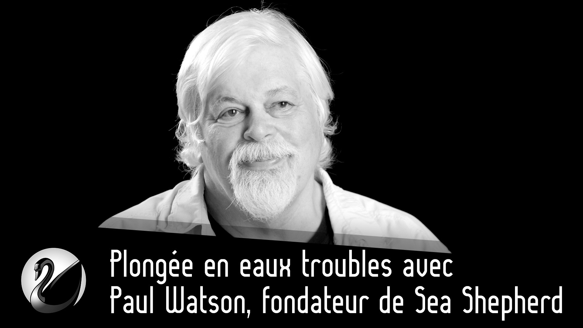 Paul Watson, fondateur de Sea Shepherd : Plongée en eaux troubles