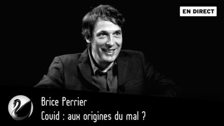 Brice Perrier :Covid : aux origines du mal ?