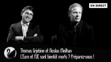 Thomas Grjebine et Nicolas Meilhan : L&rsquo;Euro et l’UE sont bientôt morts ? Préparez-vous !
