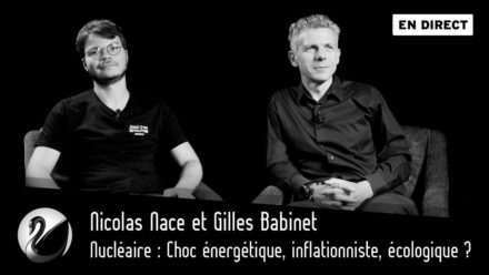 Nicolas Nace et Gilles Babinet, Nucléaire : Choc énergétique, inflationniste, écologique ?