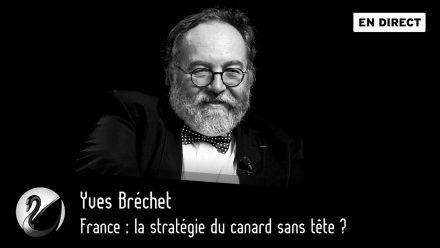 Yves Bréchet : France, la stratégie du canard sans tête ?